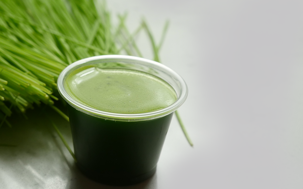 Wheatgrass