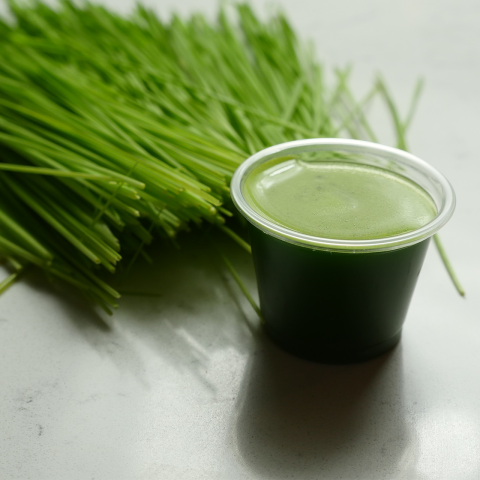 Wheatgrass